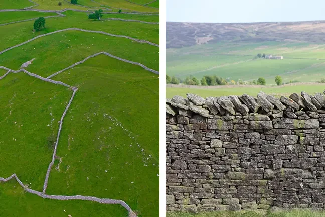 dry stone walls 2.jpg